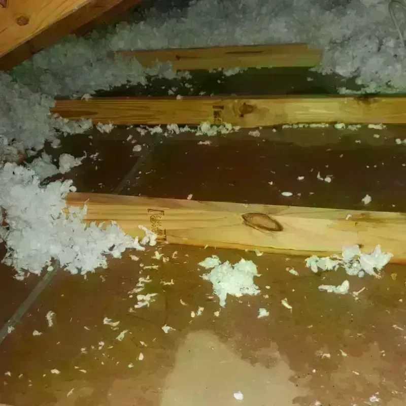 Attic Water Damage in Arnold, PA