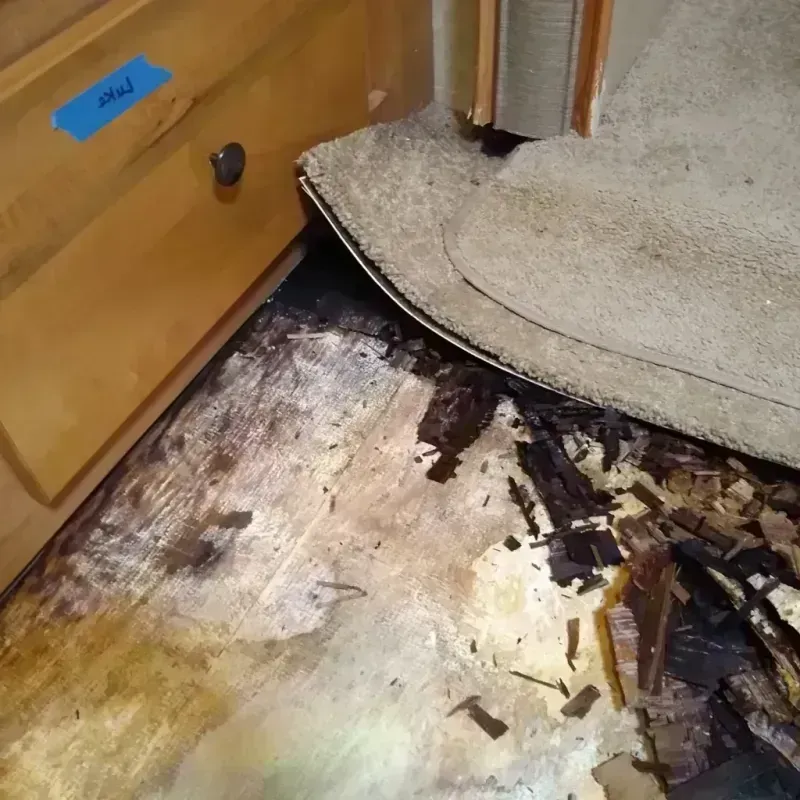 Wood Floor Water Damage in Arnold, PA